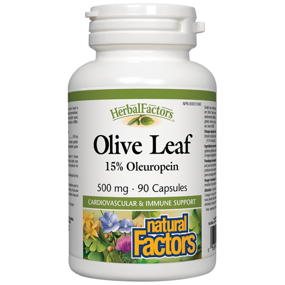 Olive Leaf 500 mg
