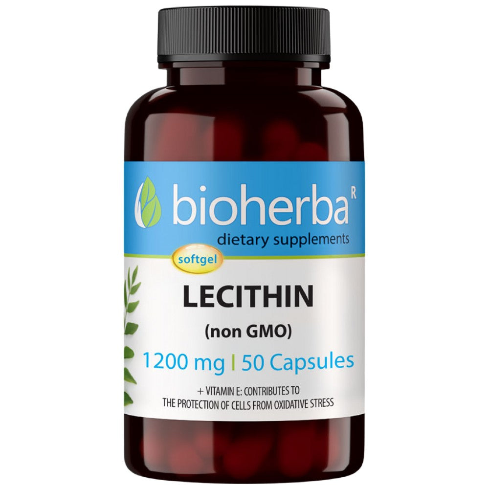 Lecithin Non-GMO