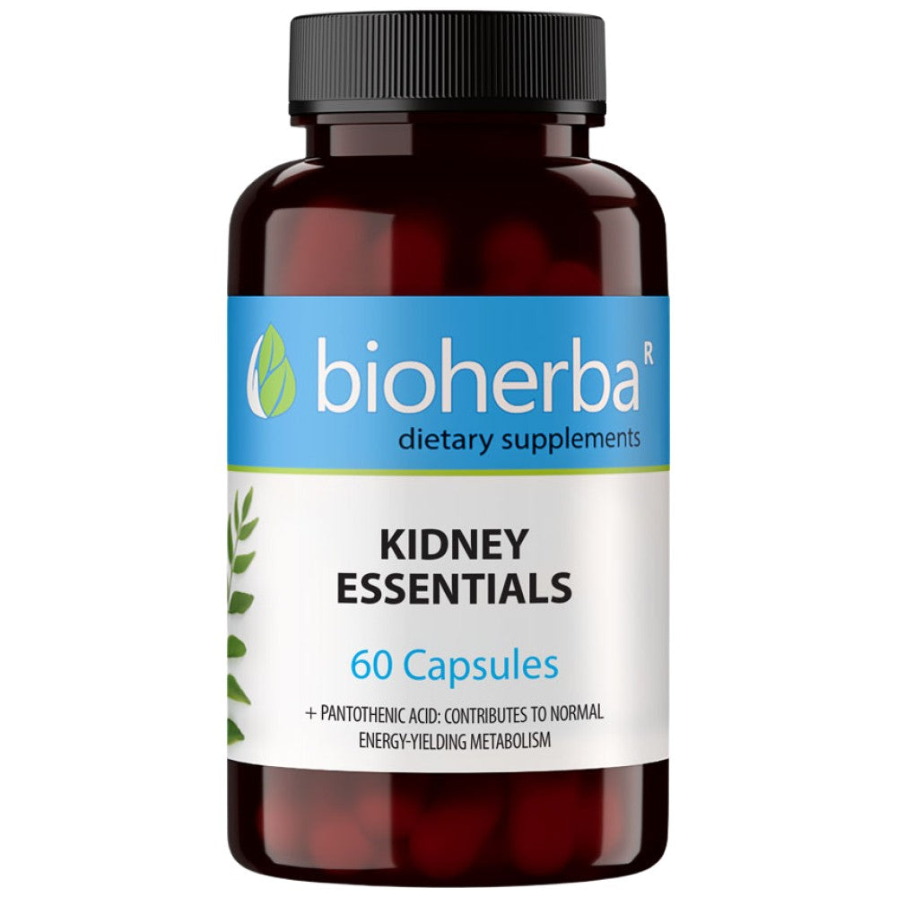 Kidney Essentials