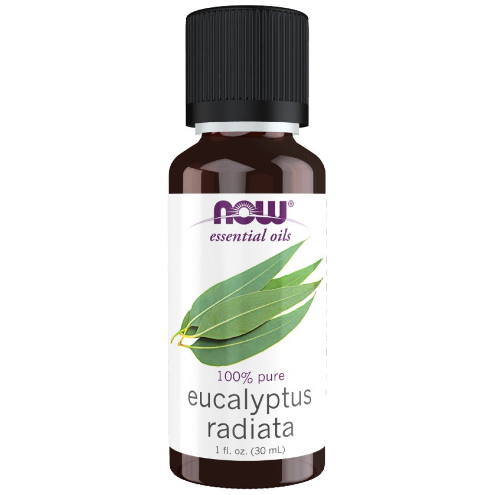 Eucalyptus Radiata Oil | 100% Pure Eucalyptus Radiata