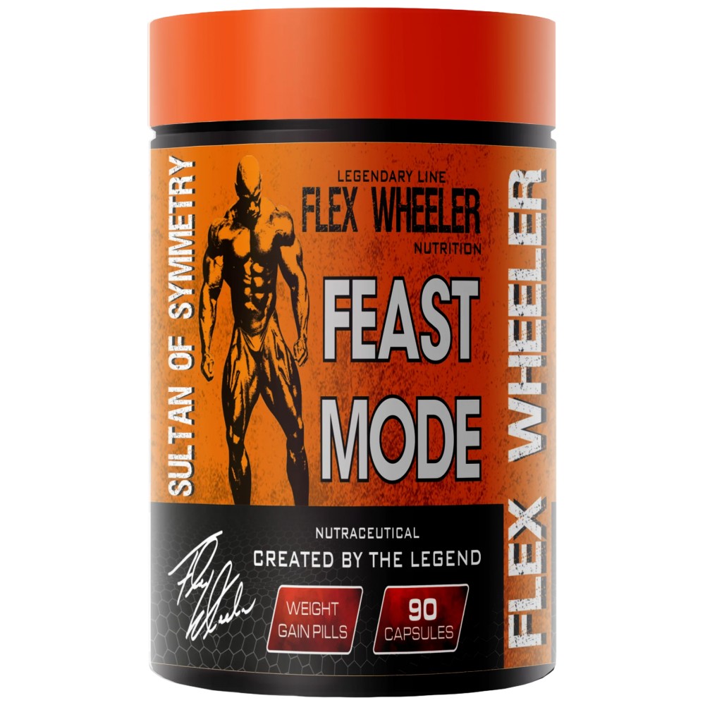 Feast Mode | with Ginger, Fennel & Enzymes