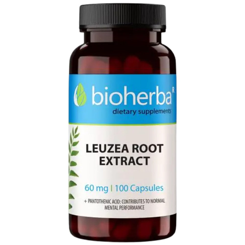 Leuzea Root Extract 60 mg
