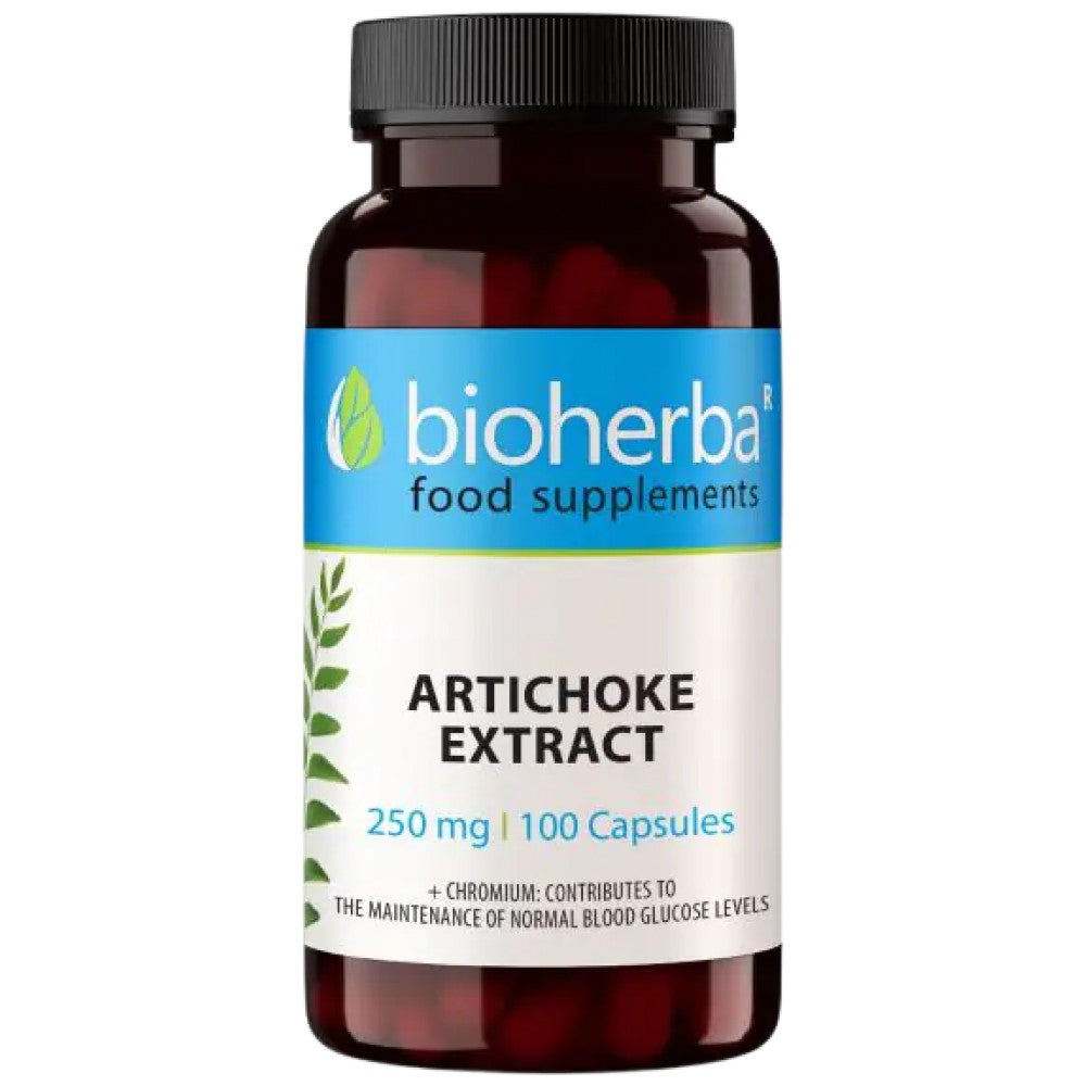 Artichoke 320 mg
