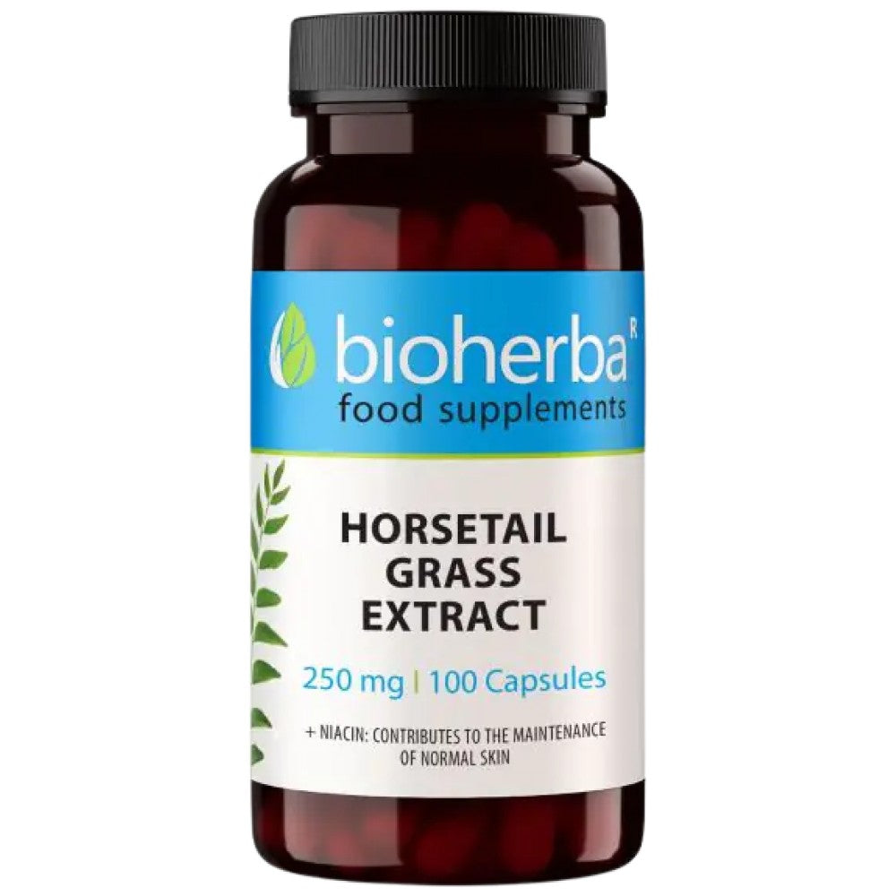 Horsetrail Grass 210 mg