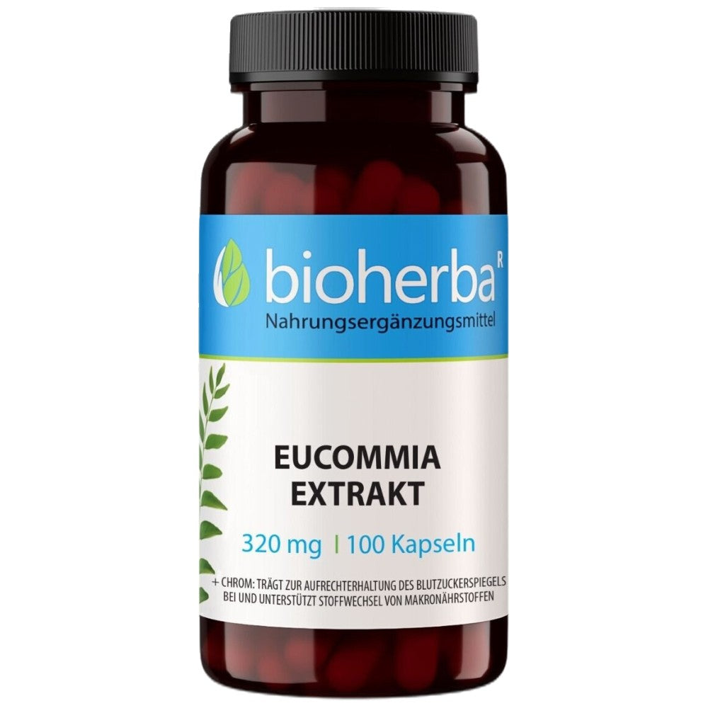 Eucommia Extract 320 mg