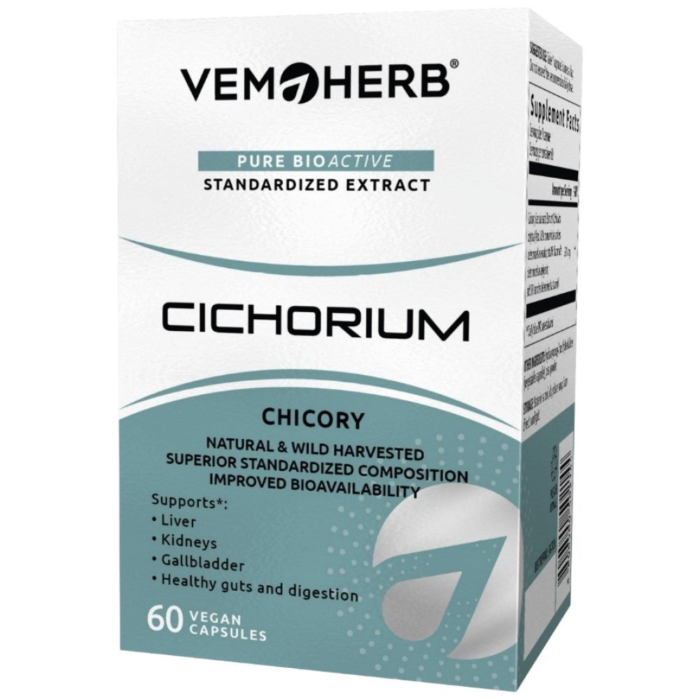 Cichorium