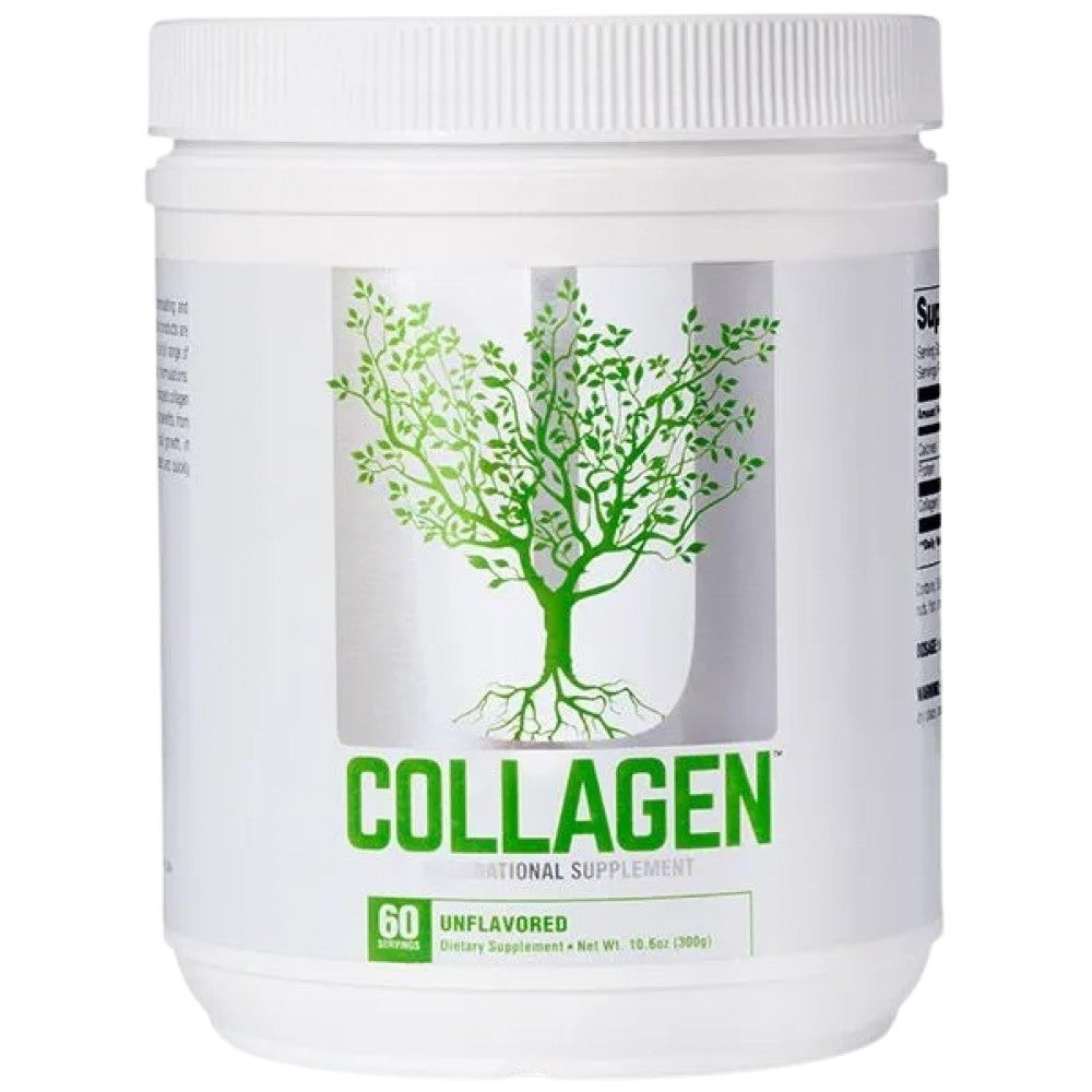 Collagen Powder / Types 1 and 3