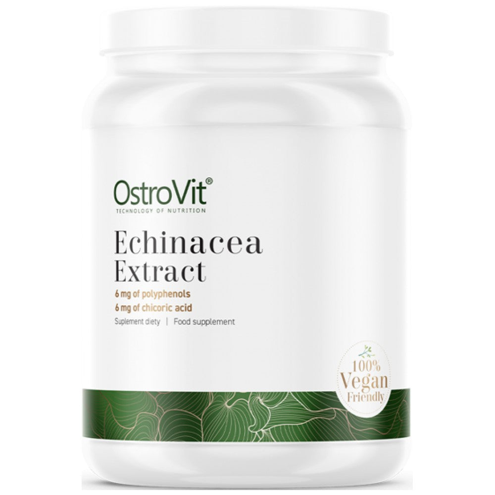 Echinacea Extract Powder