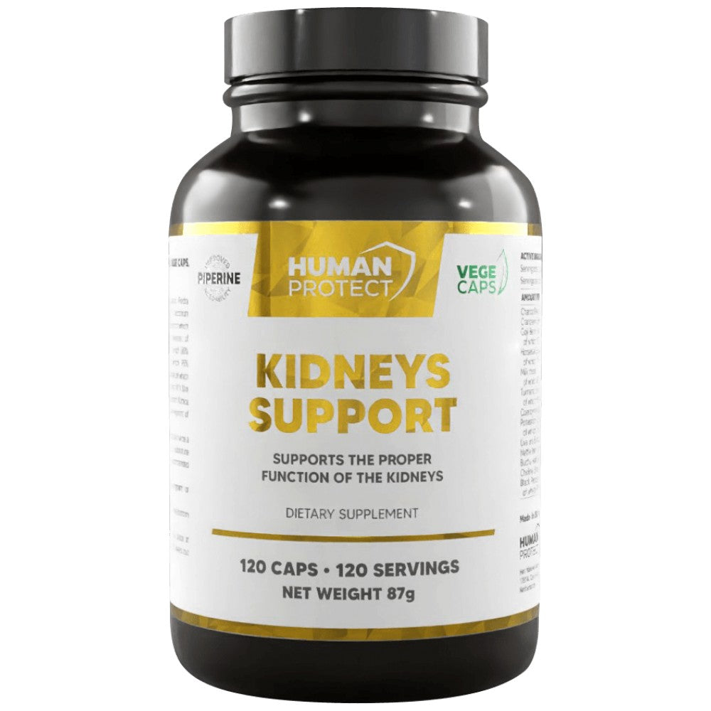 Kidneys Support | Proper Kidney Function Support
