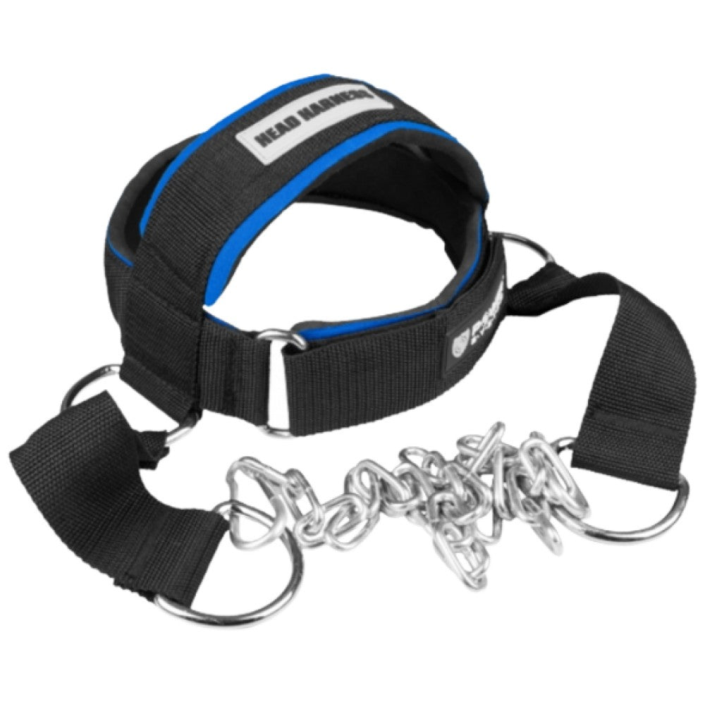 Head Harness
