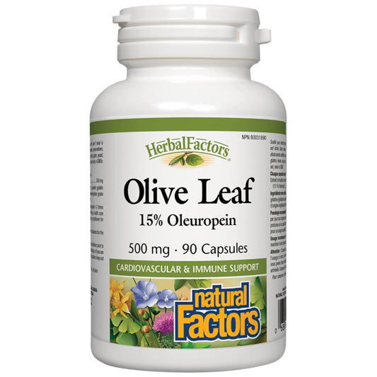 Olive Leaf 500 mg
