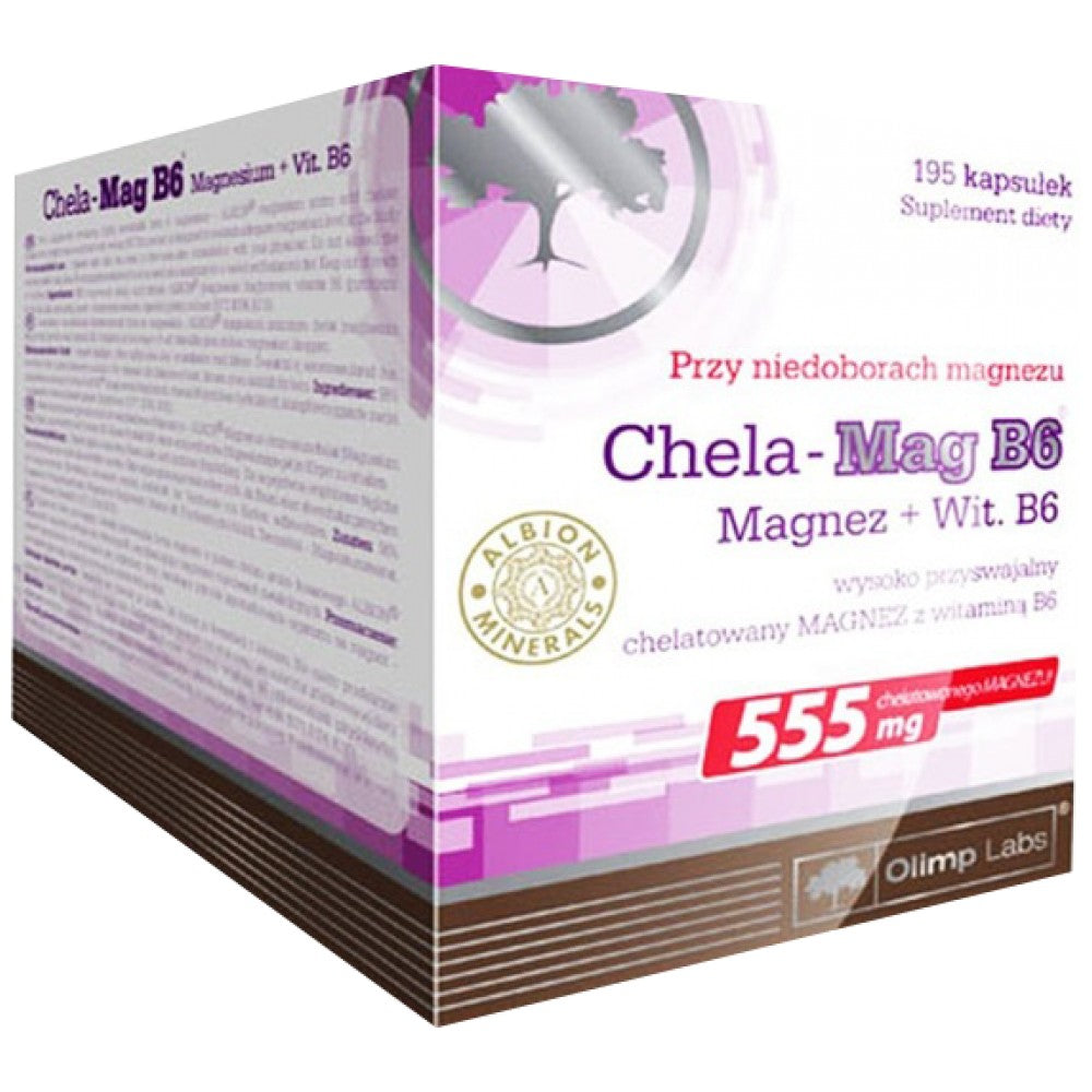 Chela - Mag B6