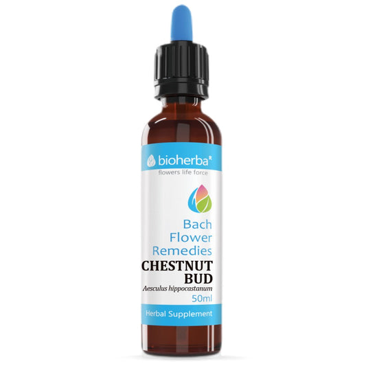 Drops Bach Flower Remedies Chestnut Bud | Aesculus Hippocastanum