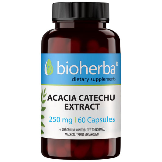 Acacia Catechu Extract 250 mg