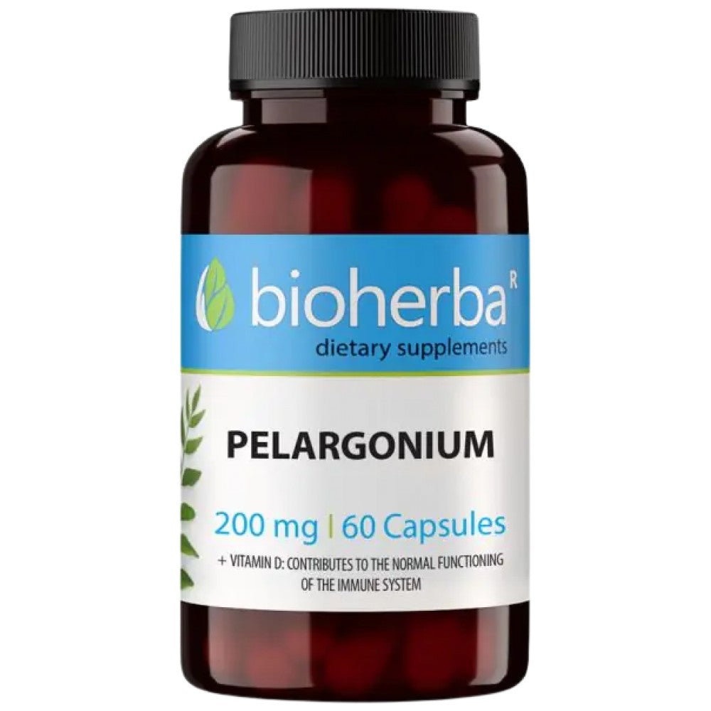 Pelargnium 200 mg | African Geranium (Pelargonium Sidoides)