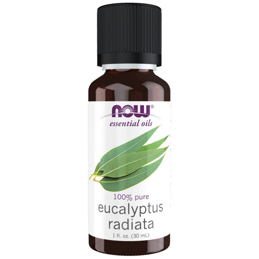 Eucalyptus Radiata Oil | 100% Pure Eucalyptus Radiata