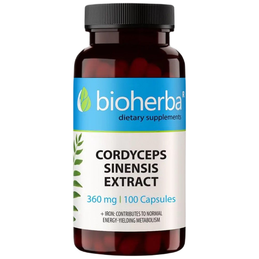 Cordyceps Sinensis 360 mg
