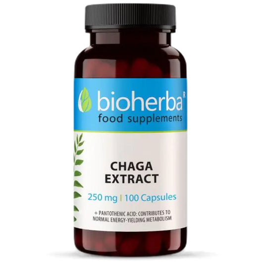 Full Spectrum Chaga Mushroom