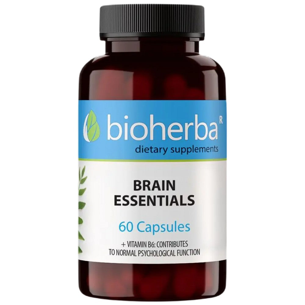 Brain Essentials