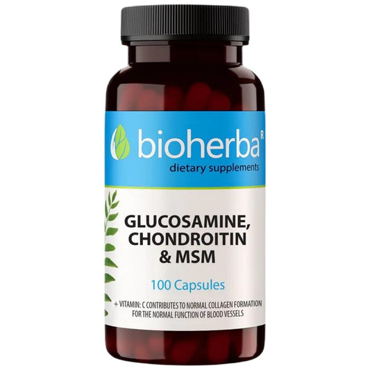 Glucosamine &amp; Chondroitin + MSM