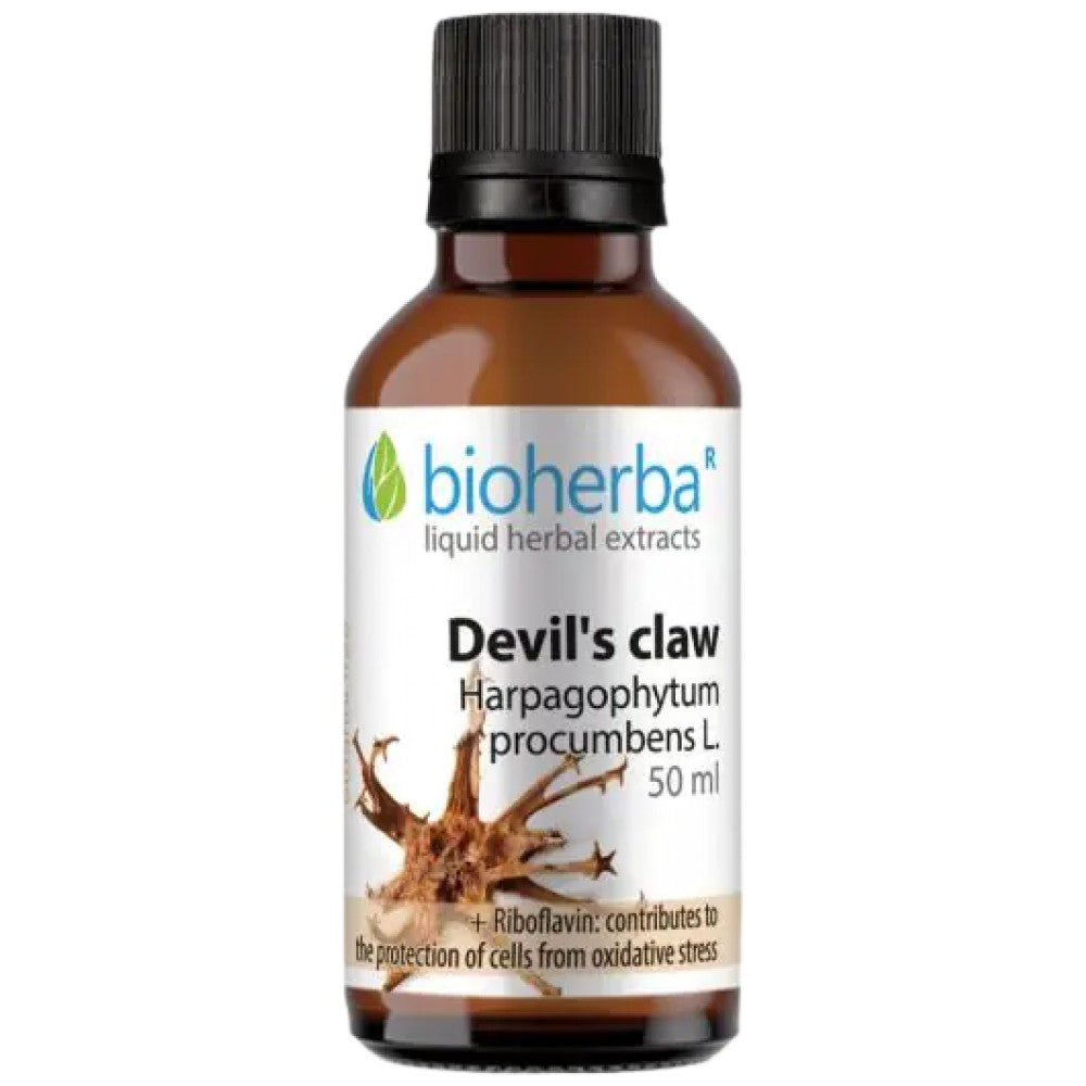 Devil's Claw Tincture