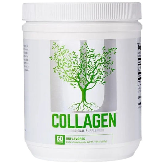 Collagen Powder / Types 1 and 3
