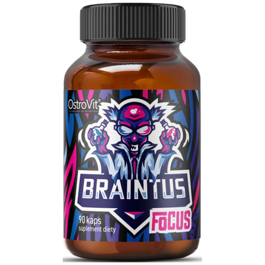 Braintus Focus / Gamer Series