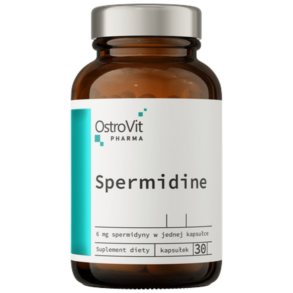 Spermidine 6 mg
