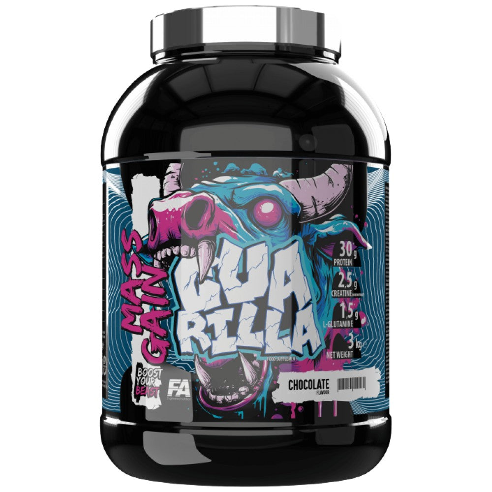 Mass Gain | High Protein Gainer