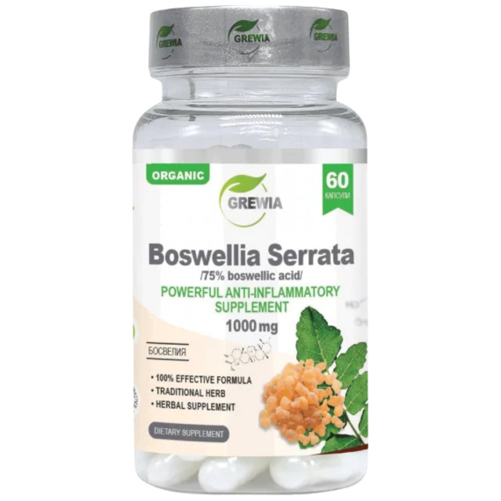 Boswellia Serrata 75% Boswellic Acid 1000mg