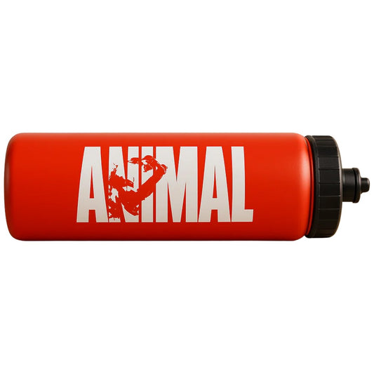 Animal Water Bottle
