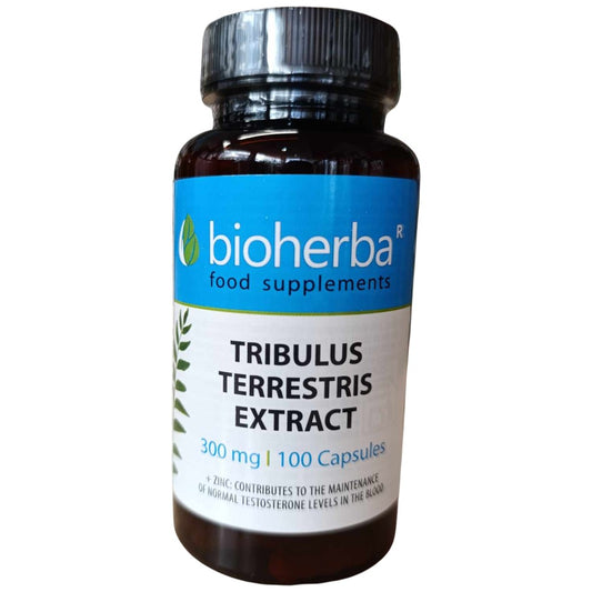 Tribulus Terrestris Extract 300 mg